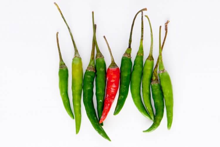 Chili peppers.